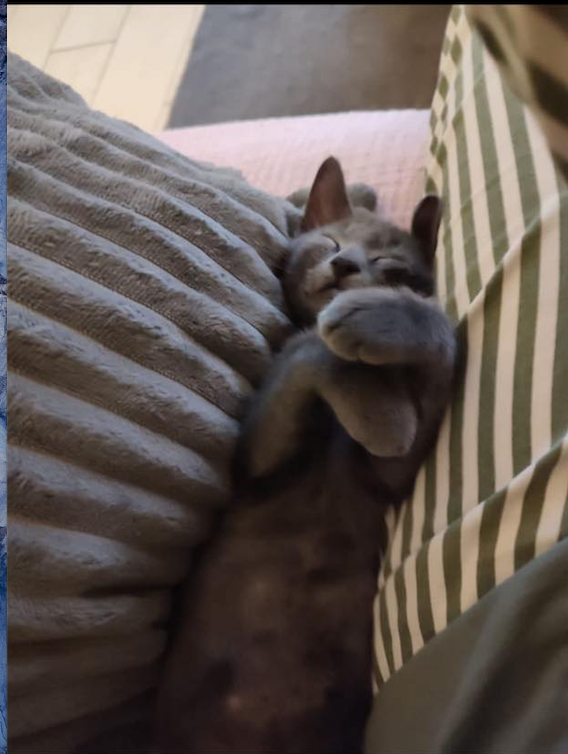 Capture-decran-2022-11-02-a-20.02.29