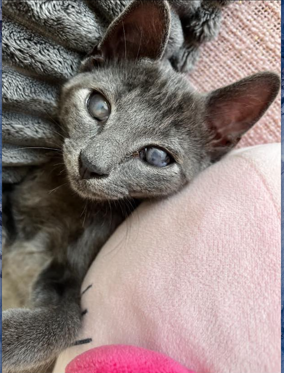 Capture-decran-2022-11-02-a-20.04.27