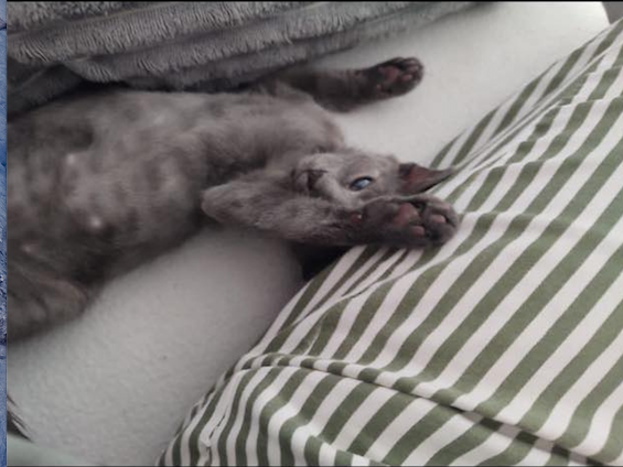 Capture-decran-2022-11-02-a-20.04.47