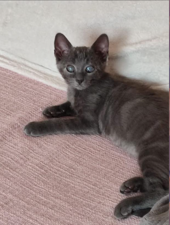 Capture-decran-2022-11-02-a-20.15.47