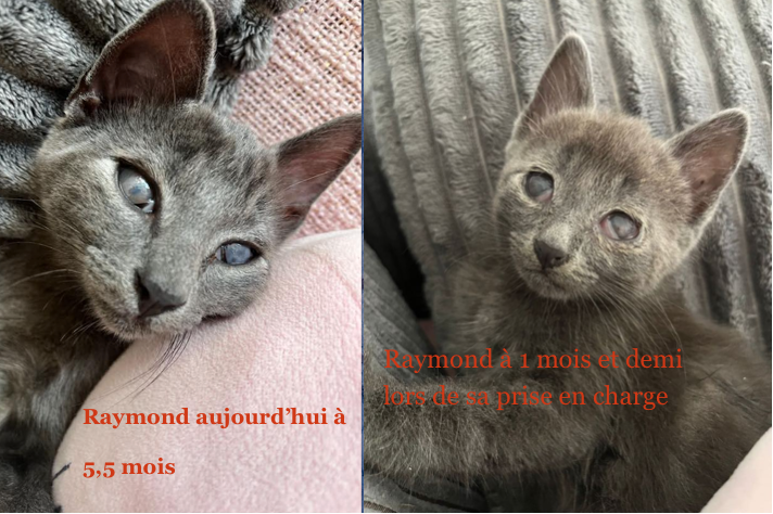 Capture-decran-2022-11-03-a-19.03.06