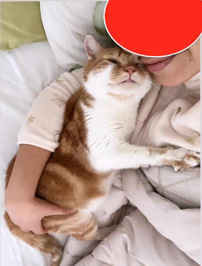 Capture-decran-2023-01-23-a-16.19.26-copie