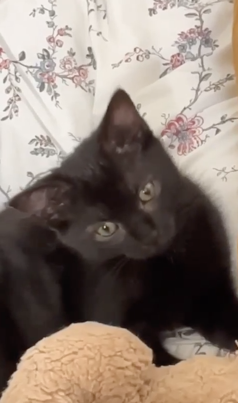 Capture-decran-2023-10-02-a-15.49.17