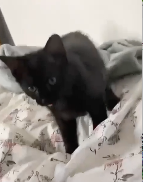 Capture-decran-2023-10-02-a-15.50.35-1