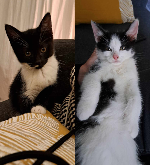 Capture-decran-2023-10-02-a-18.20.47