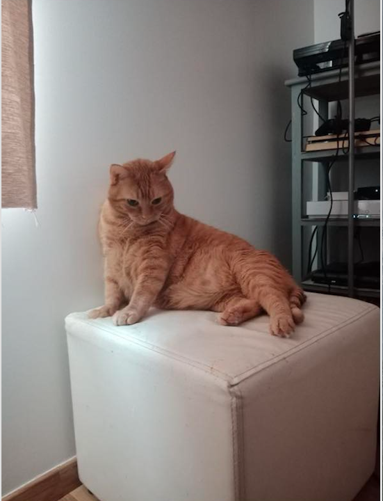 Capture-decran-2024-02-10-a-14.41.12