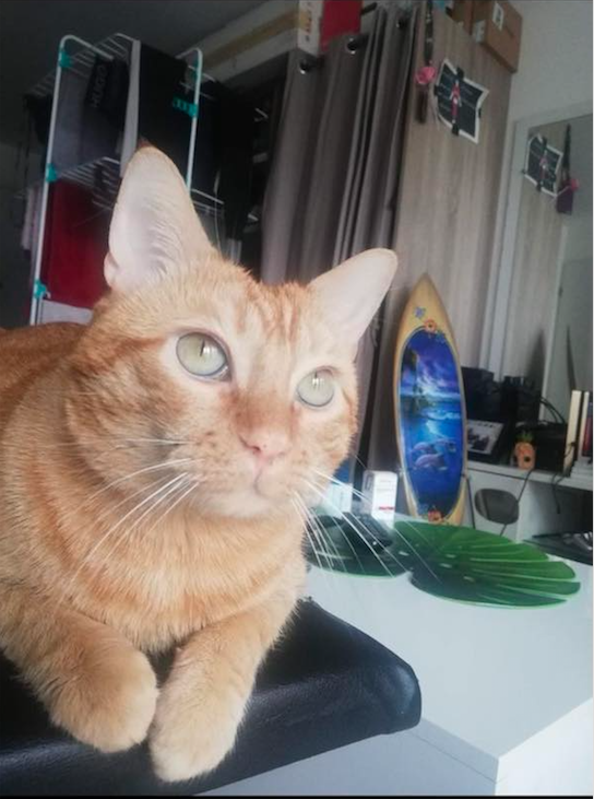 Capture-decran-2024-02-10-a-14.41.28