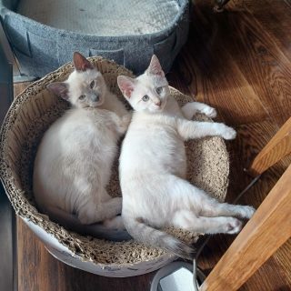 Photo de Dolce & Gabbana