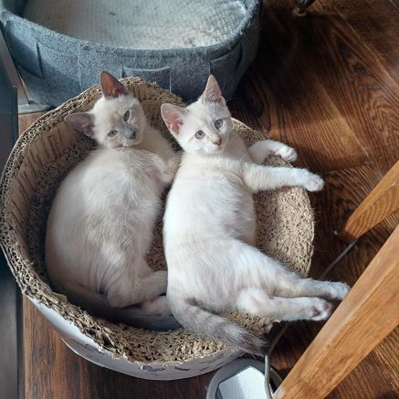 Photo de Dolce & Gabbana