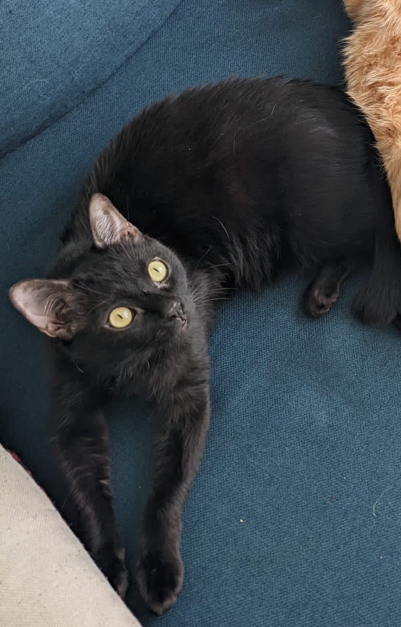 IMG-20220331-WA0001-copie