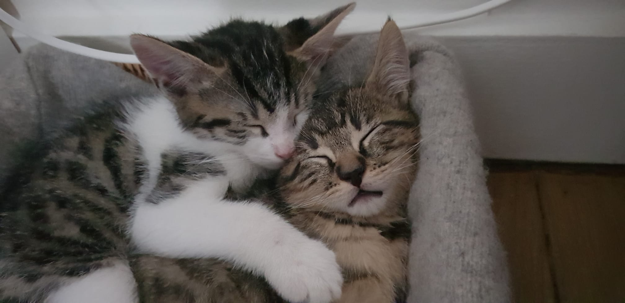 IMG-20220623-WA0003-2