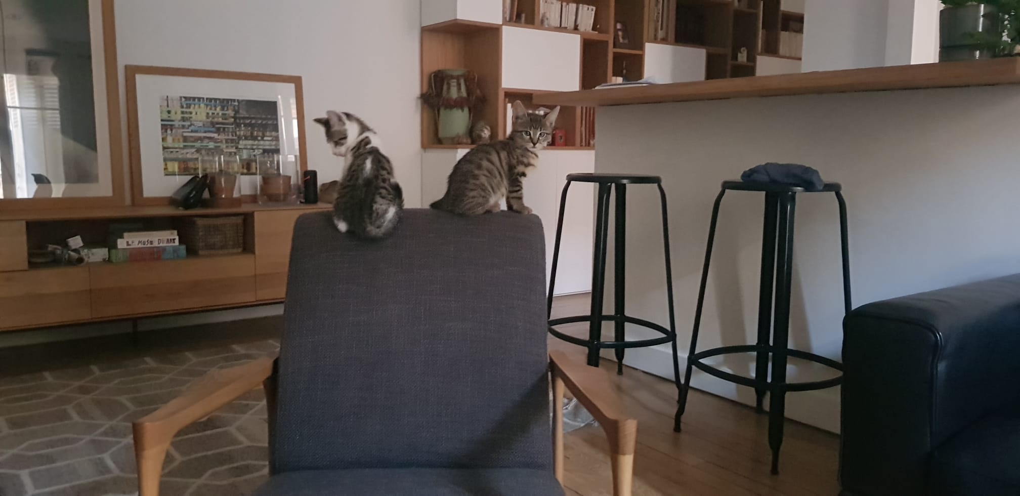 IMG-20220627-WA0001-1