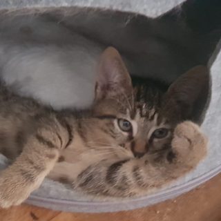 Photo de Thalès et Socrate