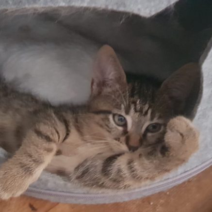 Photo de Thalès et Socrate