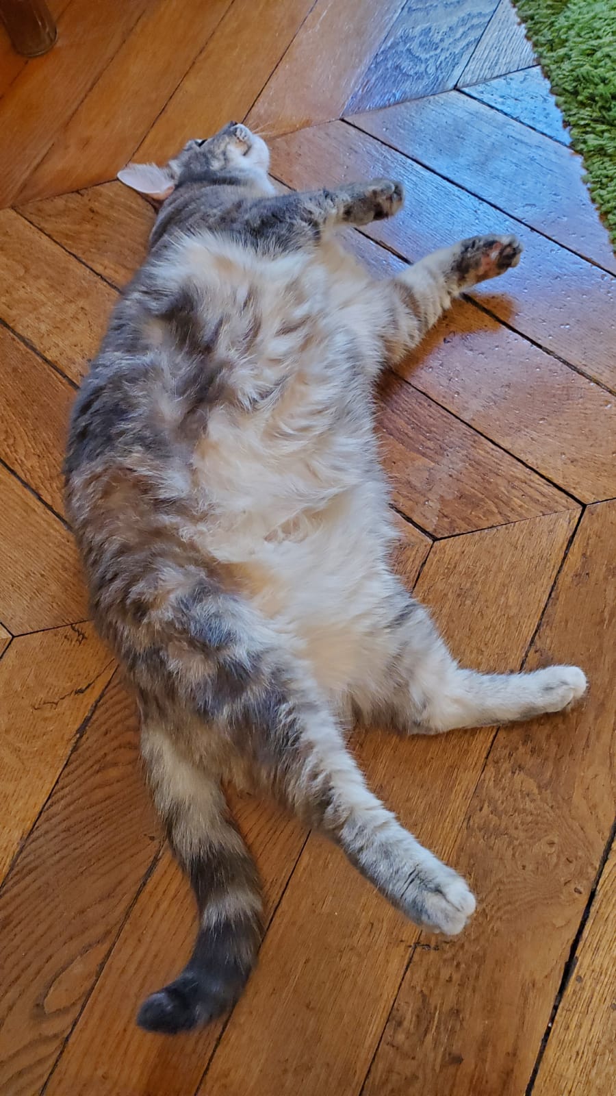 IMG-20221023-WA0000-1