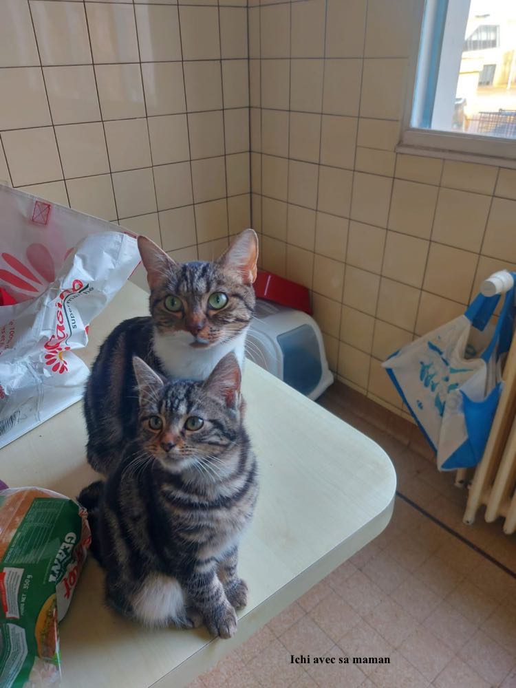 Ichi-avec-sa-maman-copie