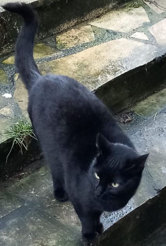 Noel-dit-Nono-32-ans