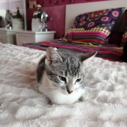 Photo de Scott et Sisko