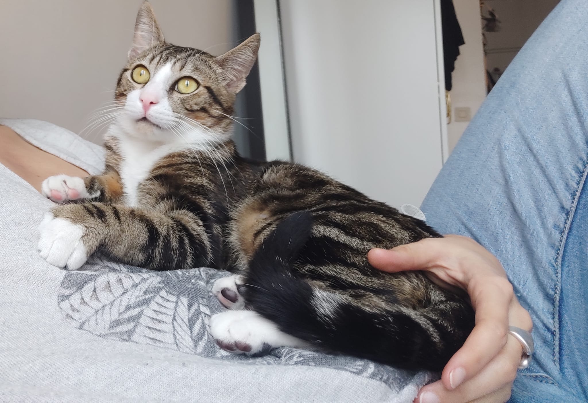 WhatsApp-Image-2022-04-04-at-21.59.03-1