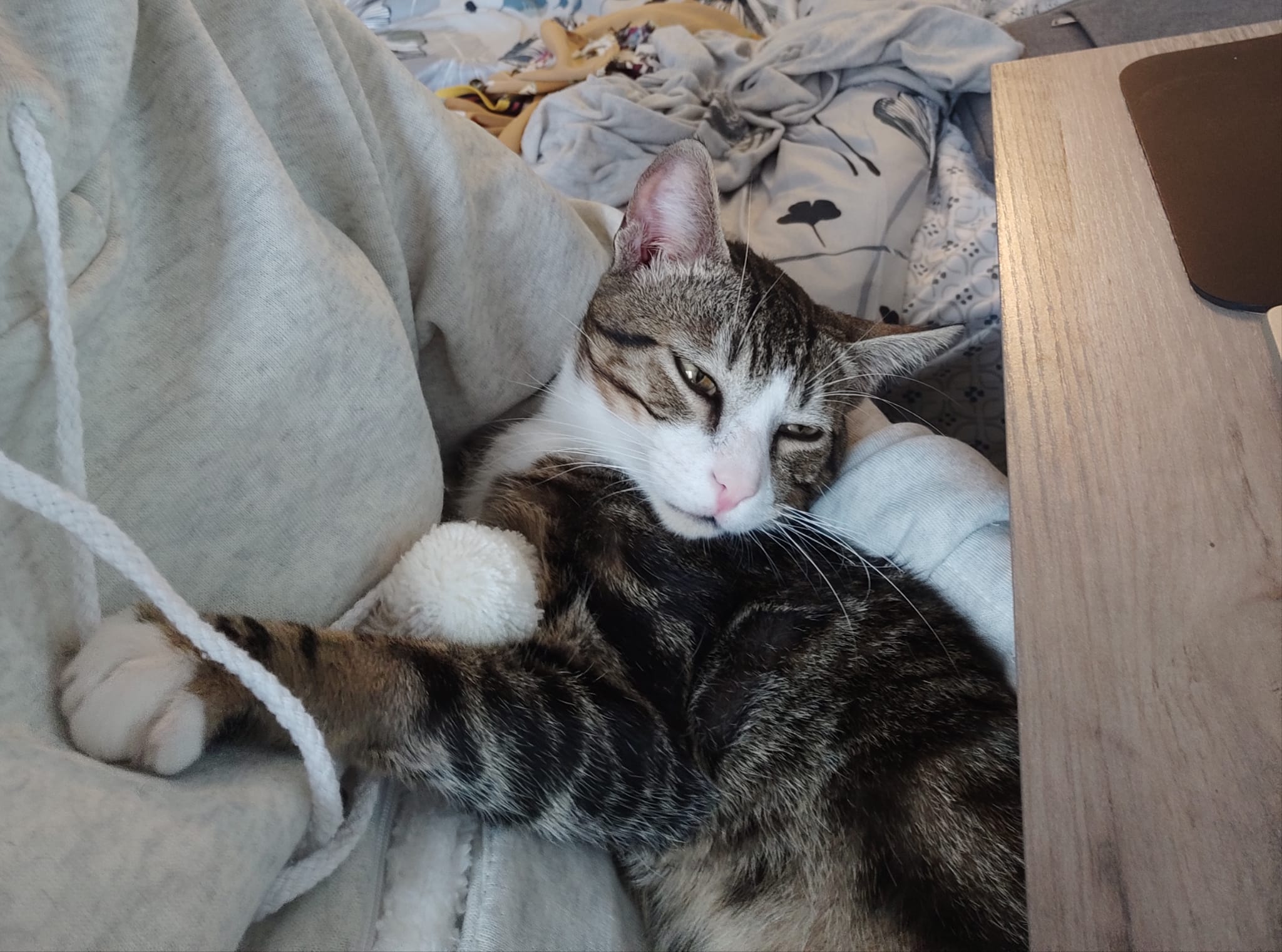 WhatsApp-Image-2022-04-04-at-21.59.03