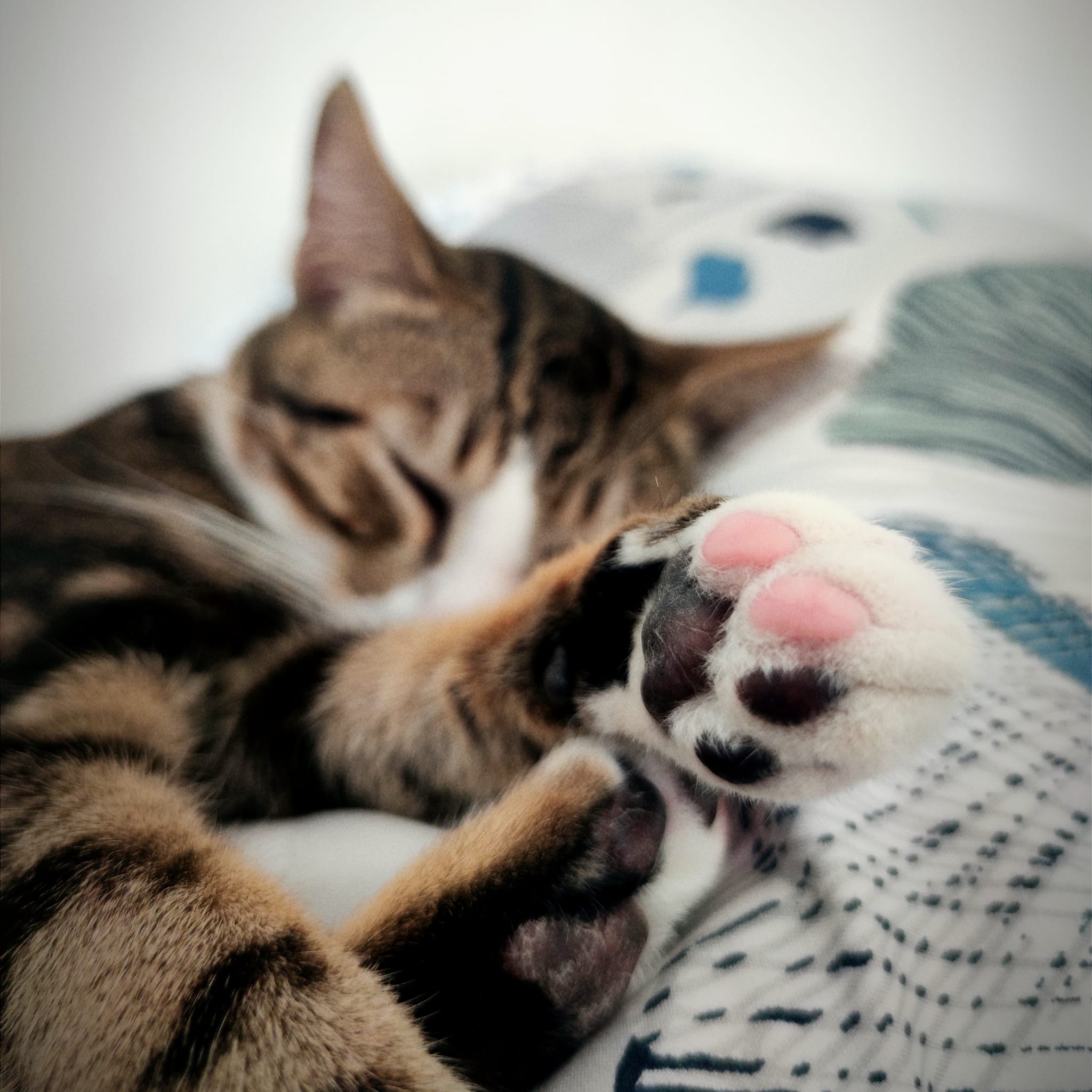 WhatsApp-Image-2022-04-04-at-21.59.04-1