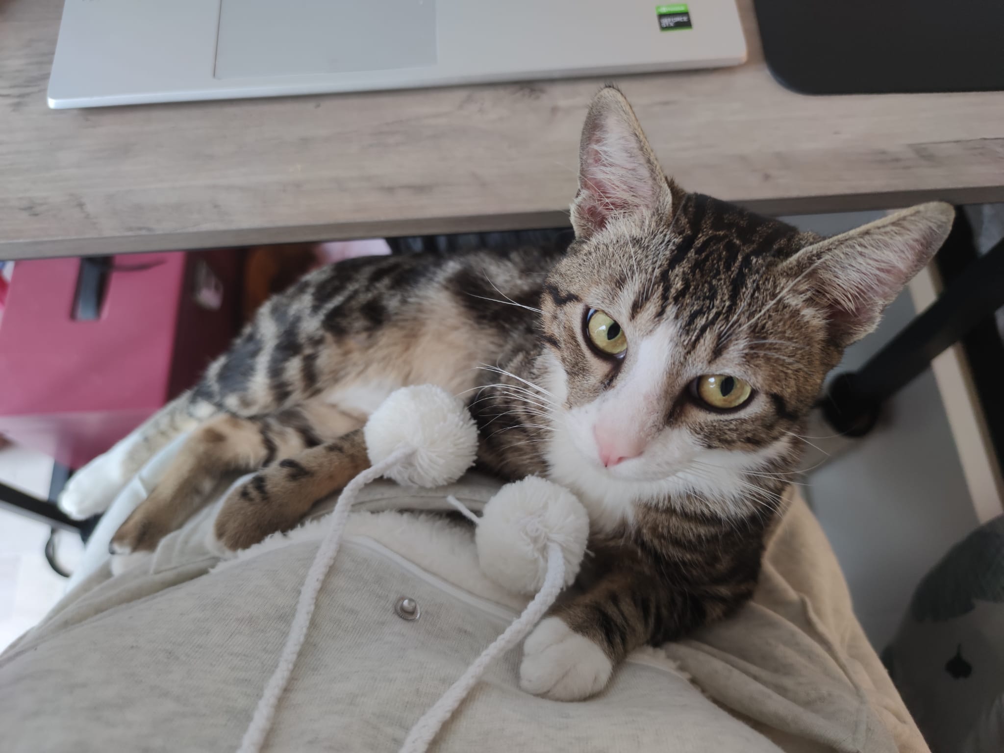 WhatsApp-Image-2022-04-04-at-21.59.04