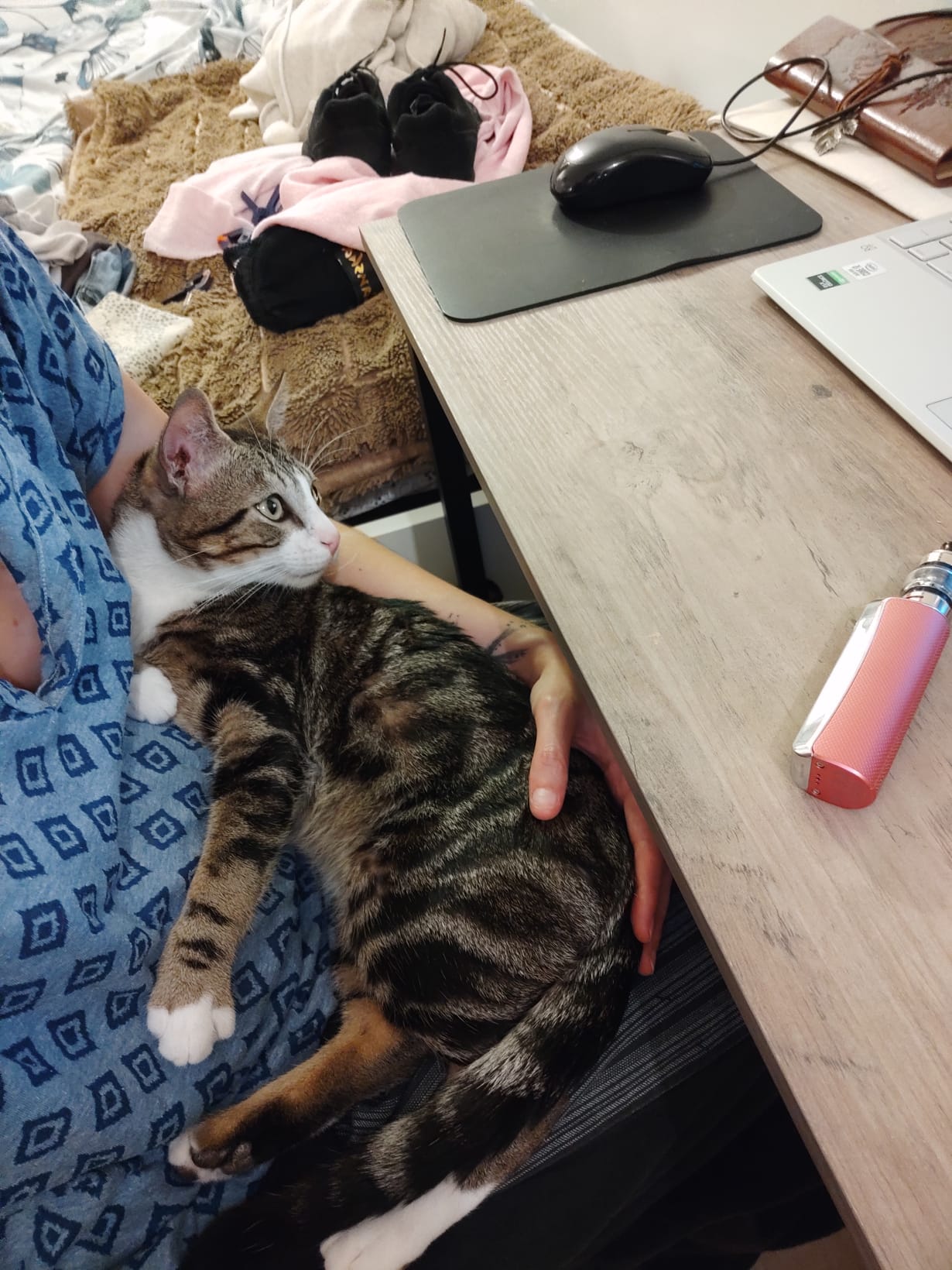 WhatsApp-Image-2022-04-04-at-21.59.05-1