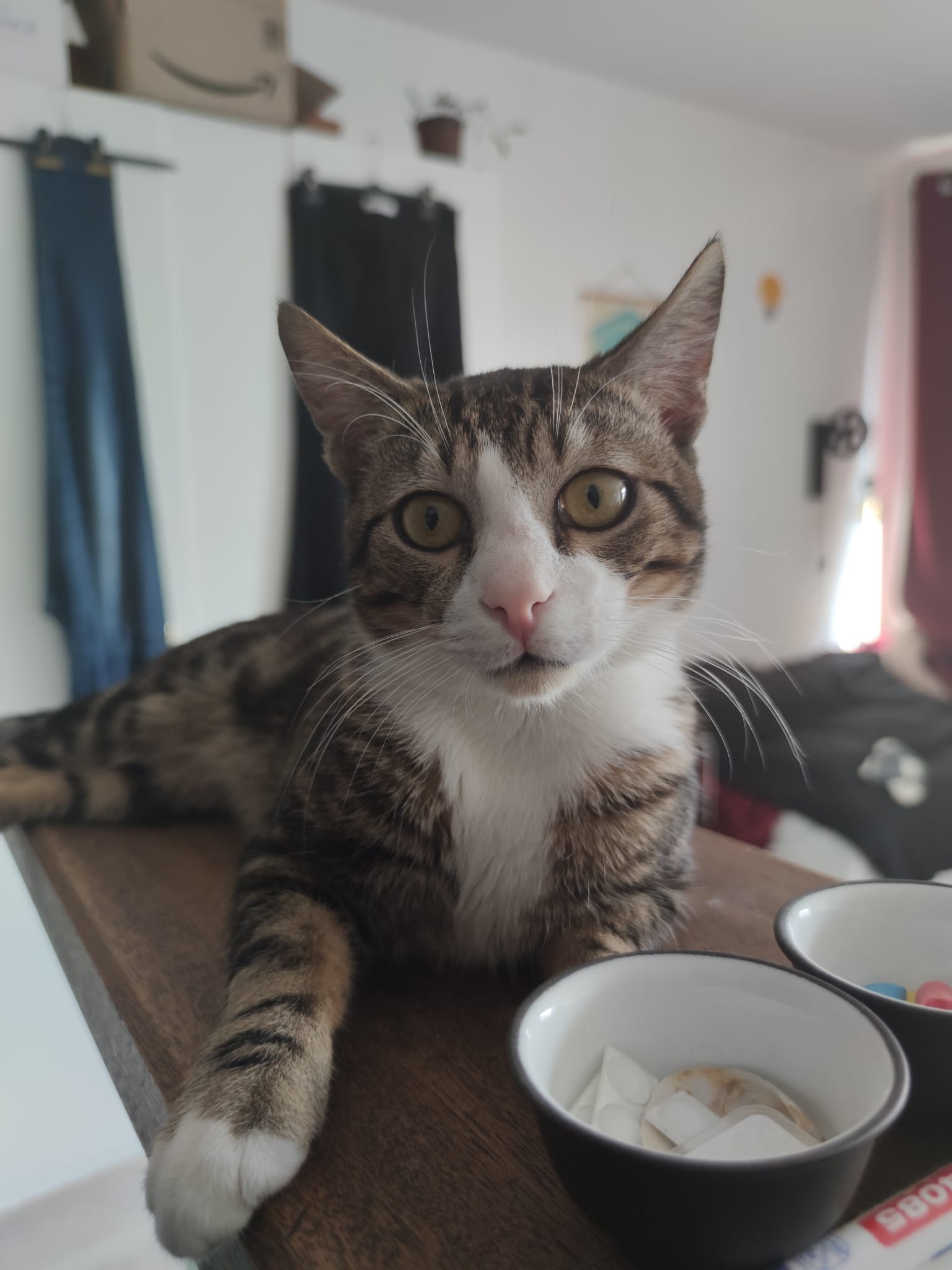 WhatsApp-Image-2022-04-04-at-21.59.05-2