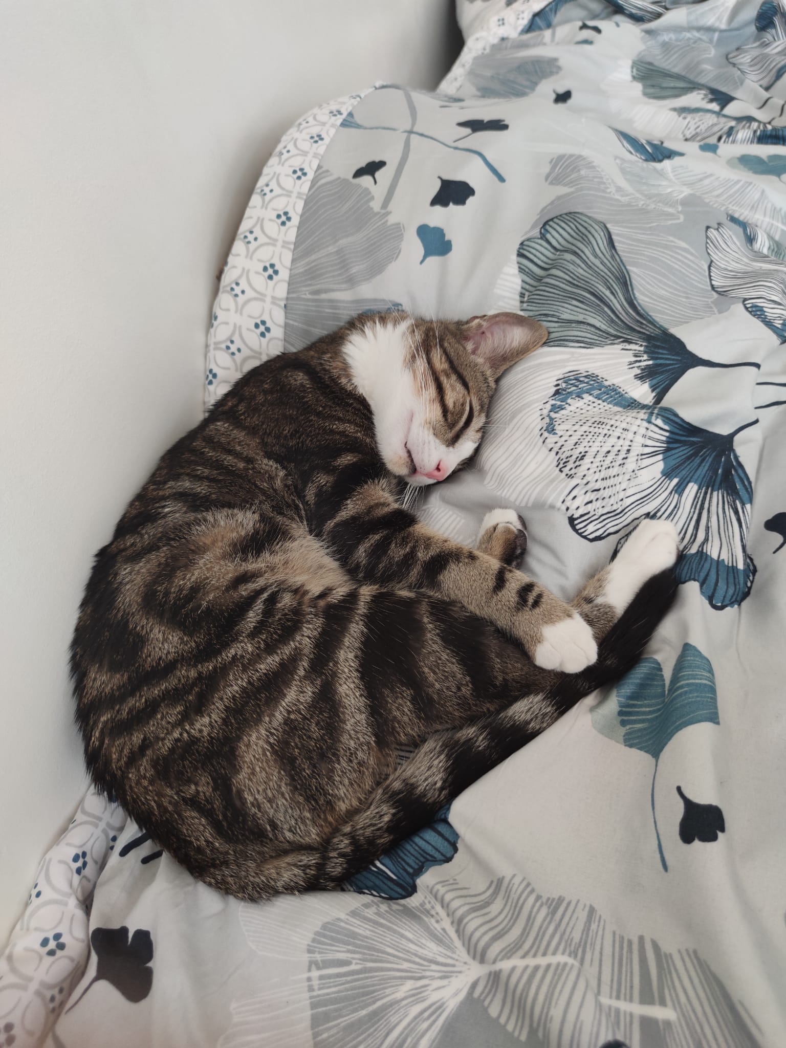 WhatsApp-Image-2022-04-04-at-21.59.05