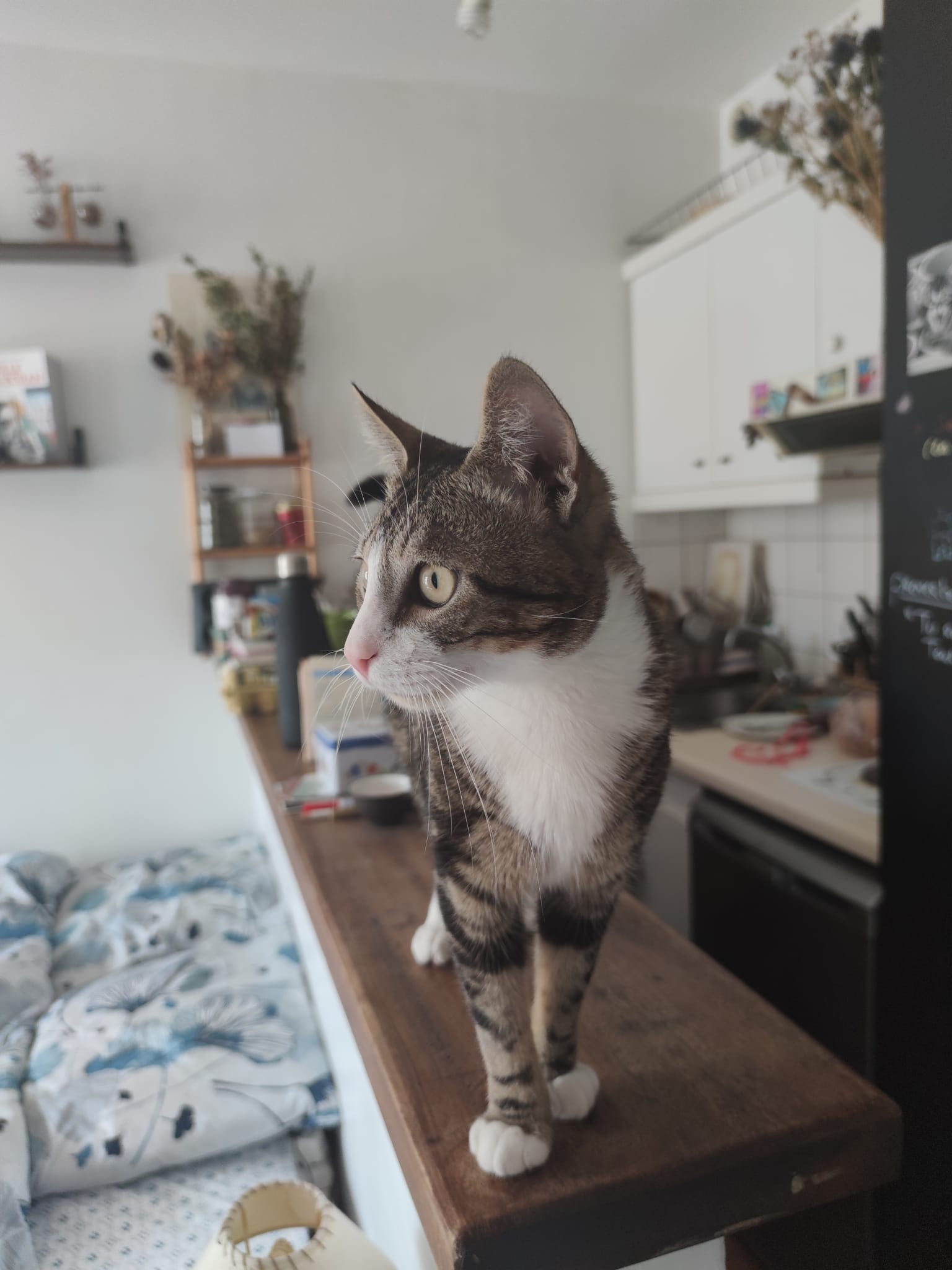 WhatsApp-Image-2022-04-04-at-21.59.06