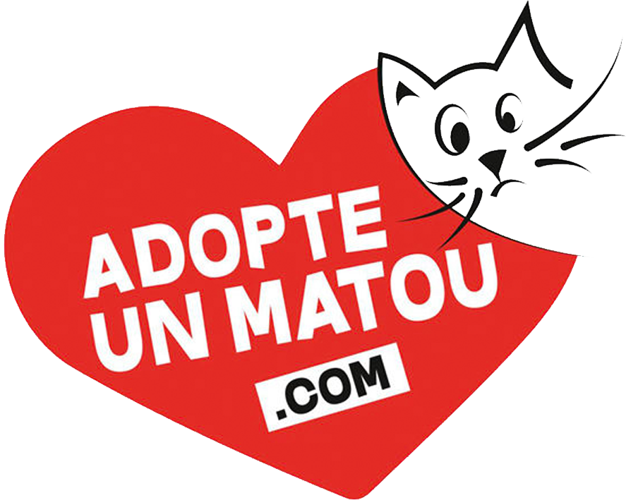 Adopte un matou