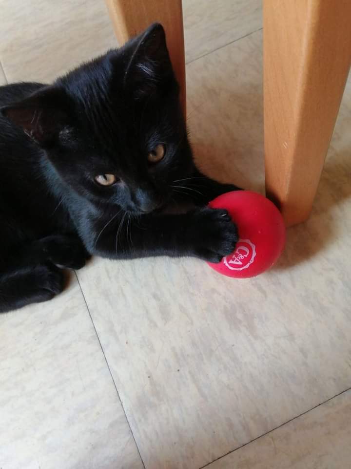 d77d3e60-6836-4733-a556-9daedf72248e