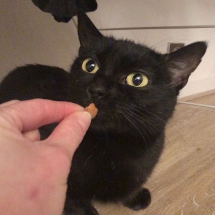 Photo de Noémie jeune minette douce et calme