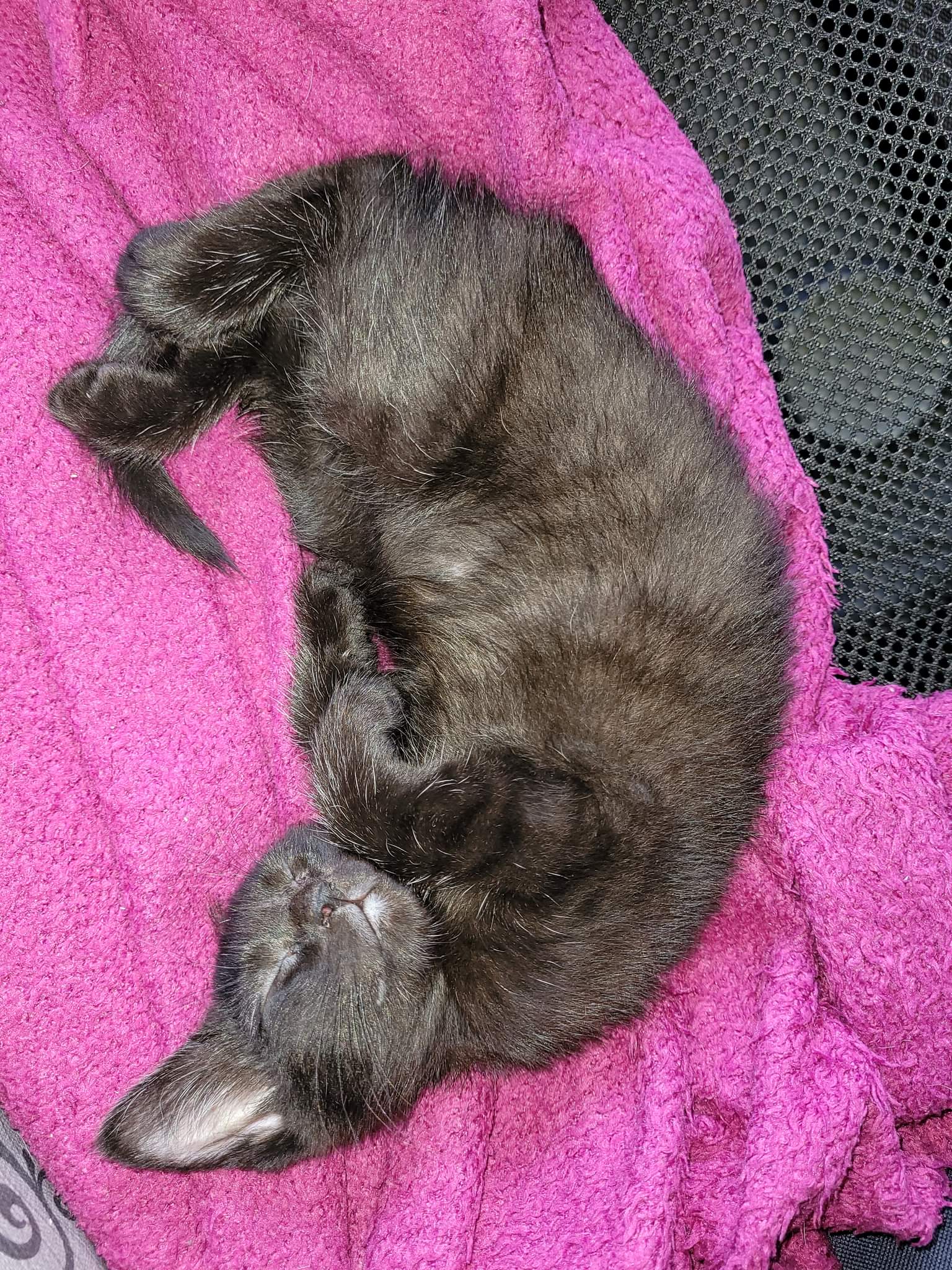 received_1074519643254670