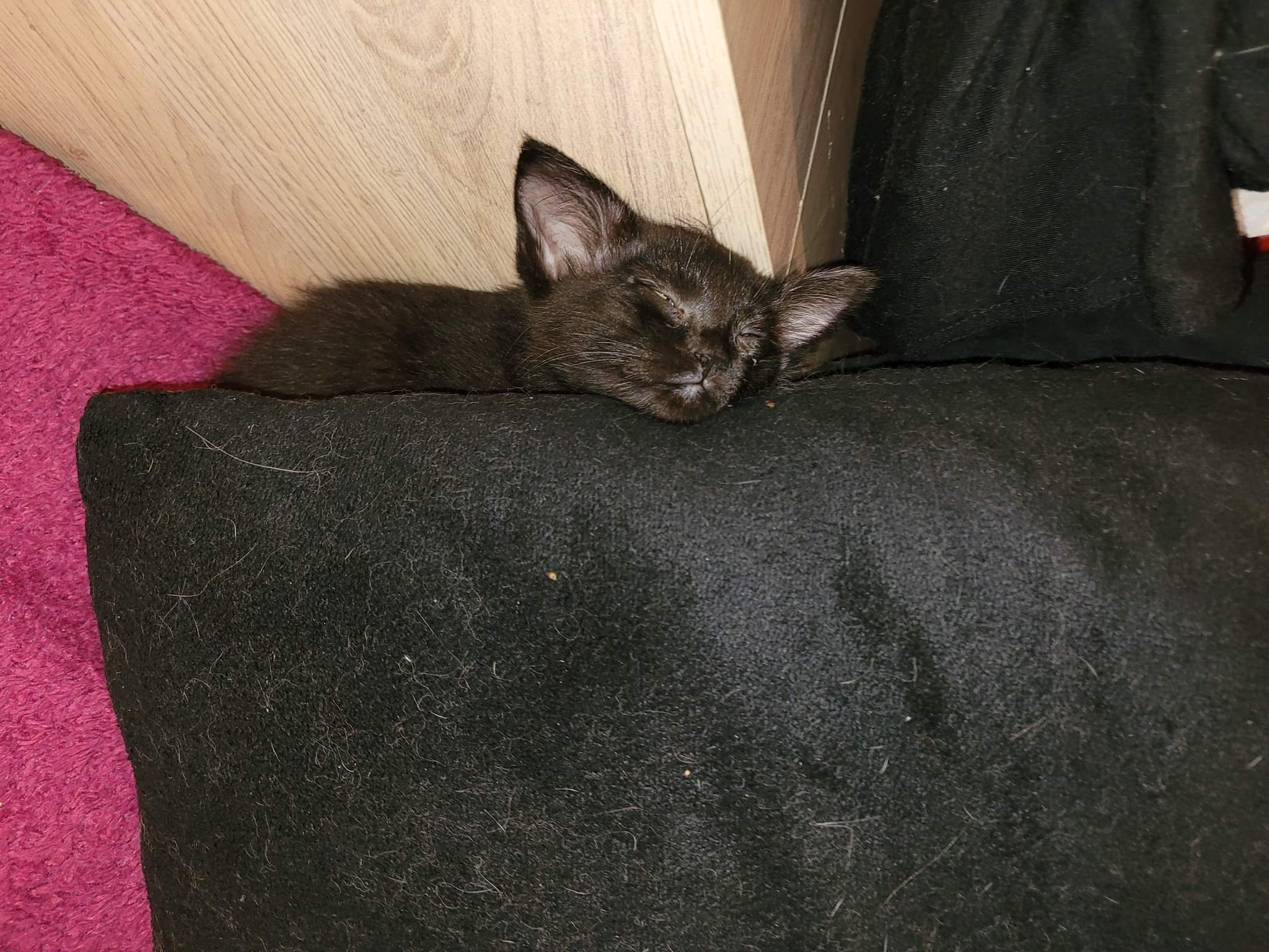 received_1176308952962470