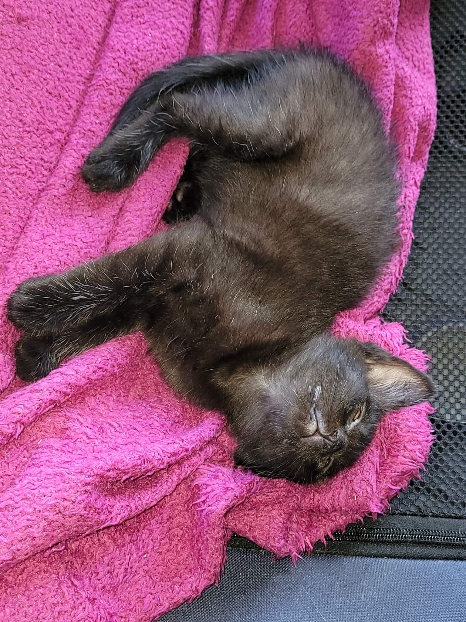 received_1180784979141326