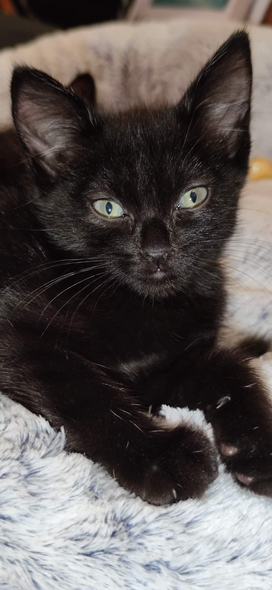 received_1468320097003864