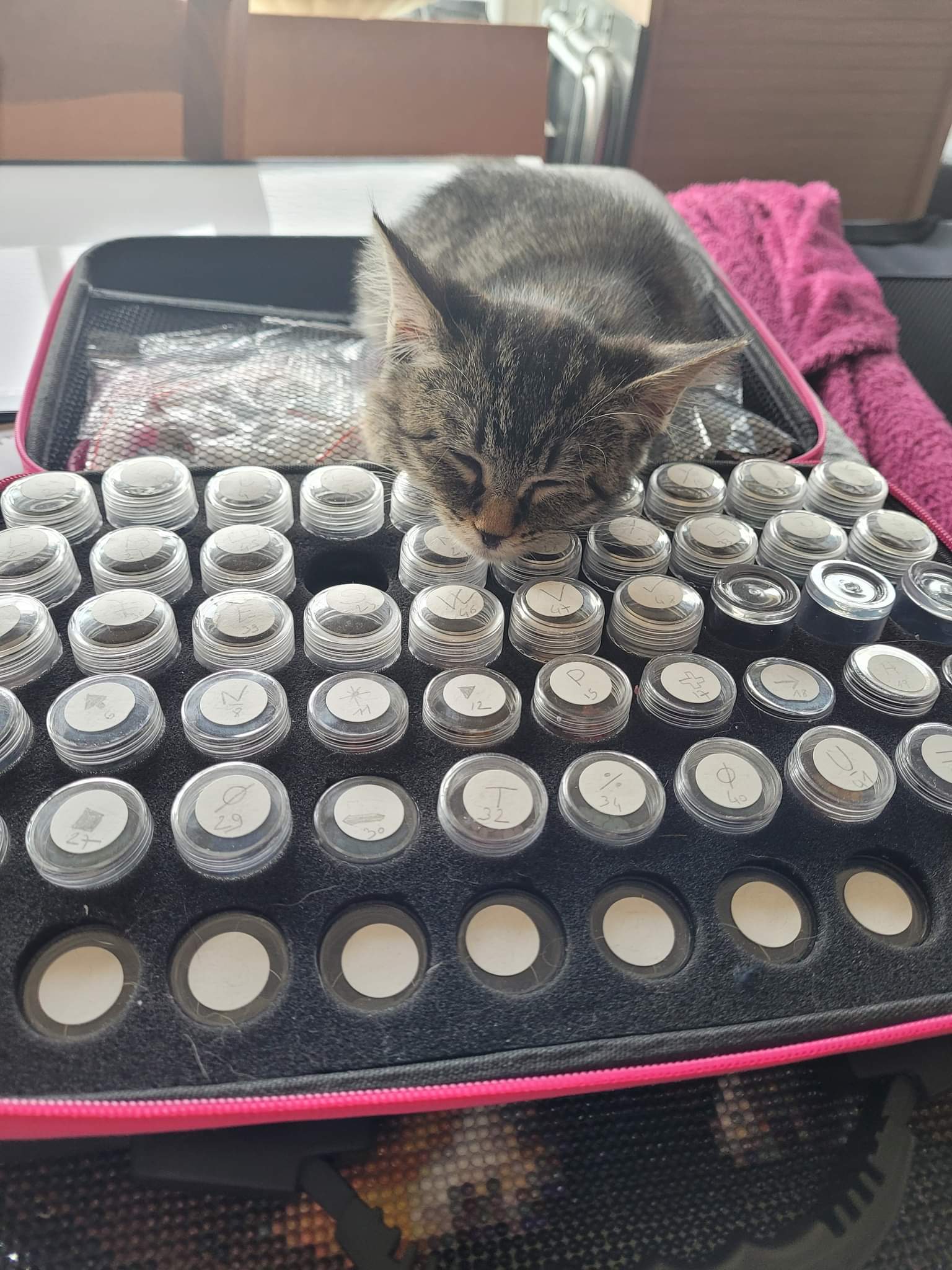 received_1481830879006618-1