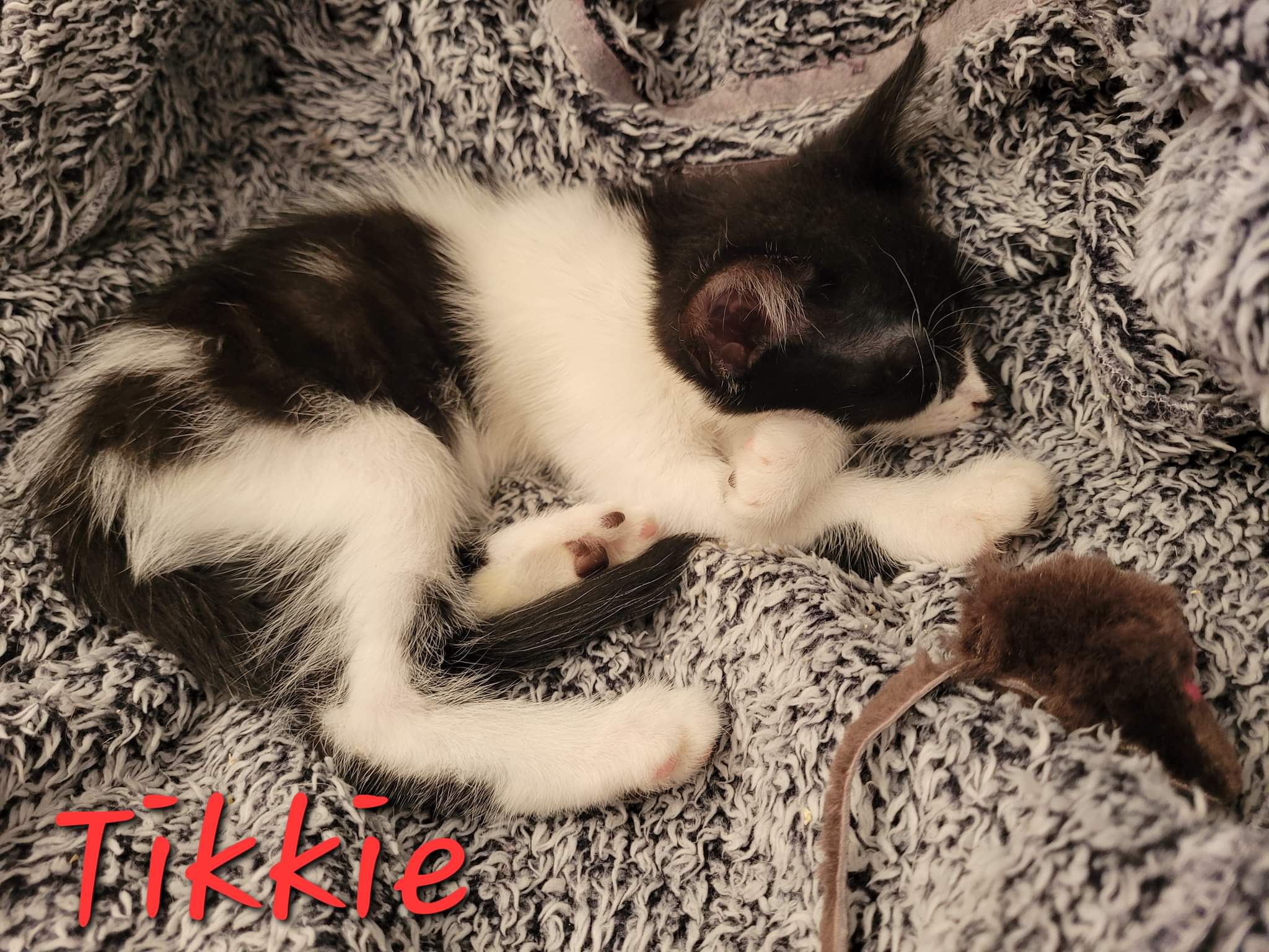 received_1571413819942238