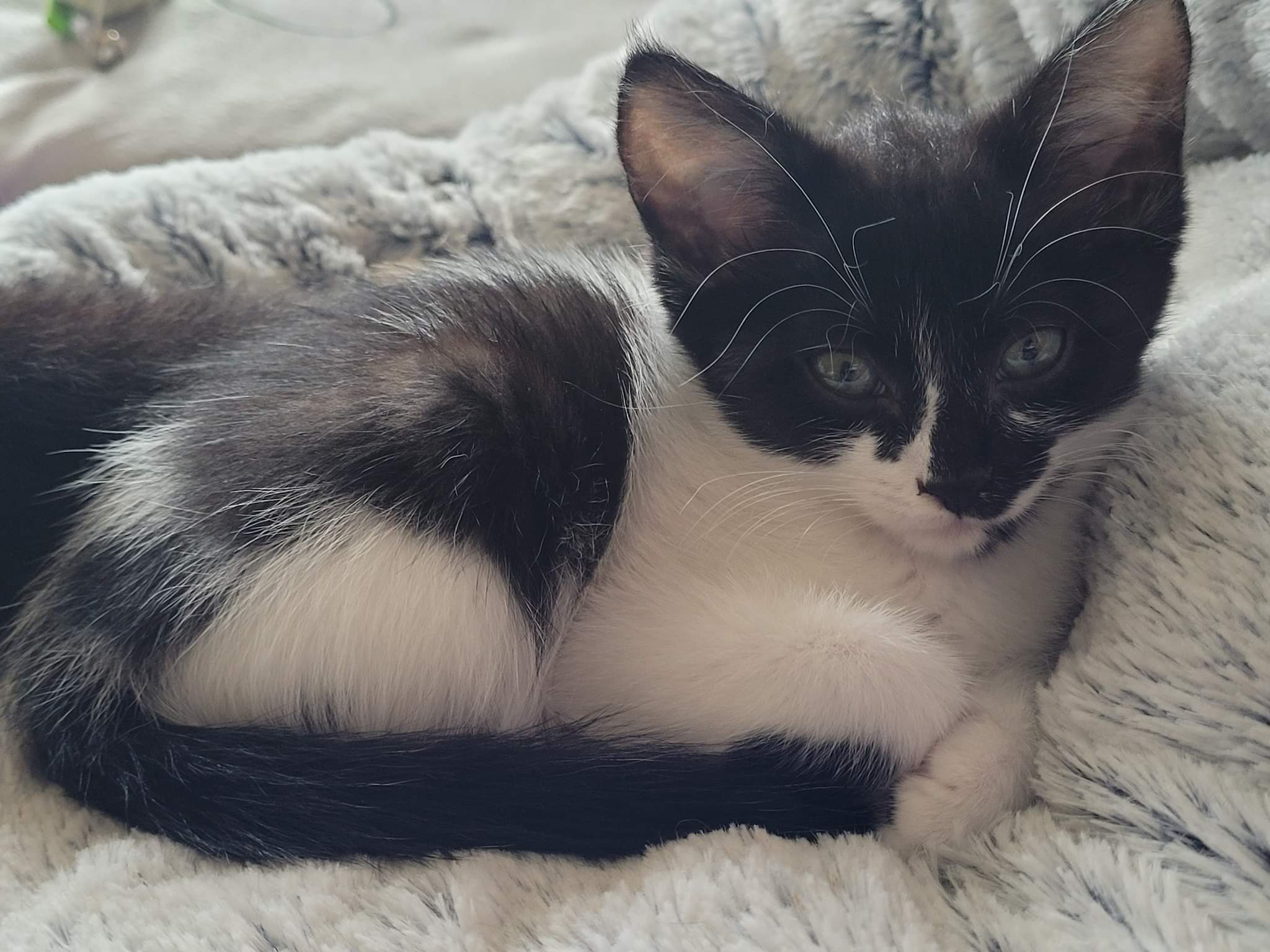 received_1771036643248627-1