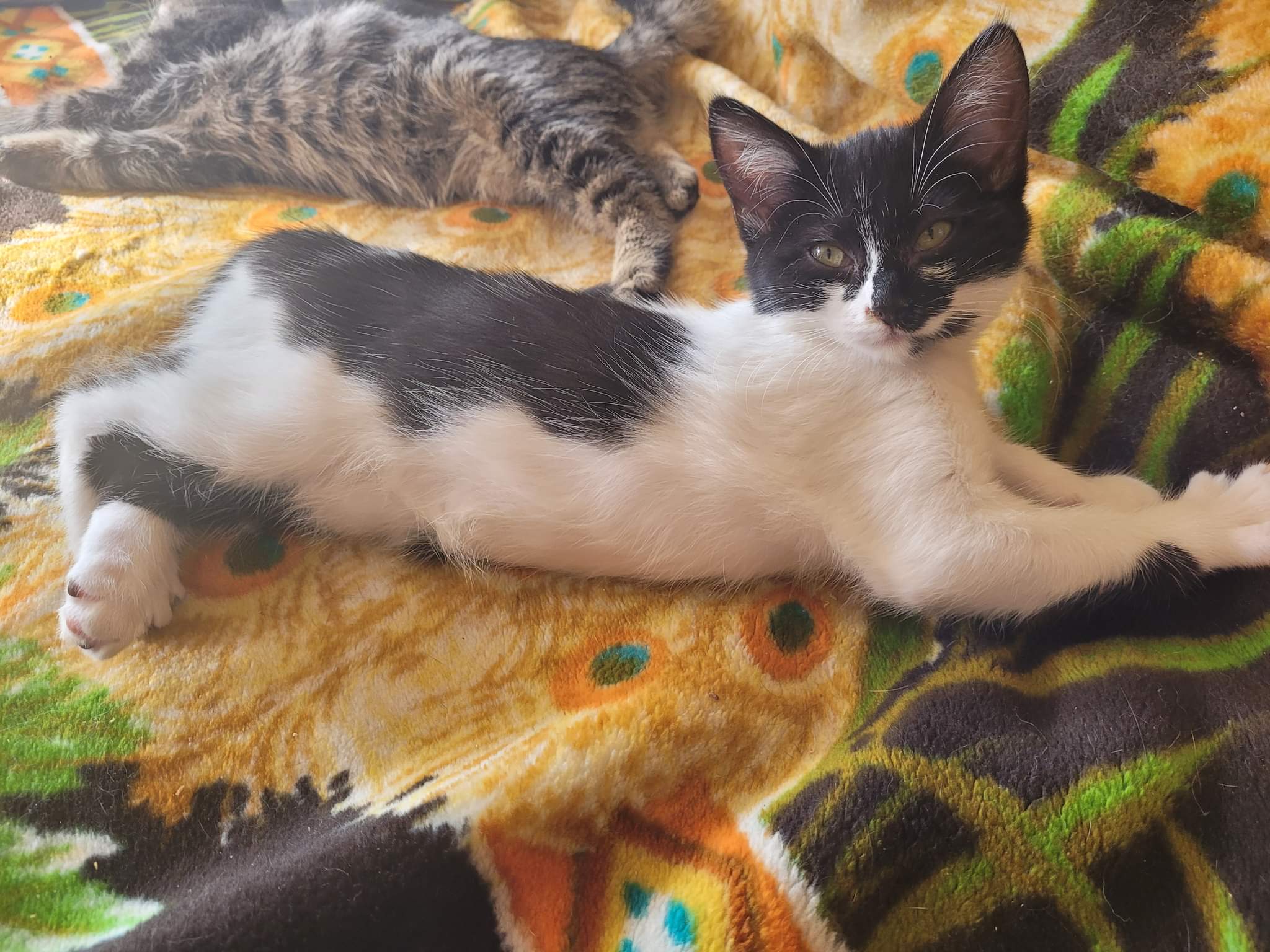 received_2062126793985057-1