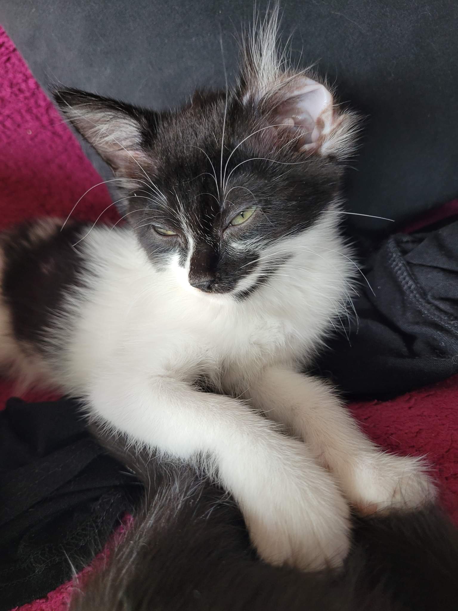 received_2129318310601624-1