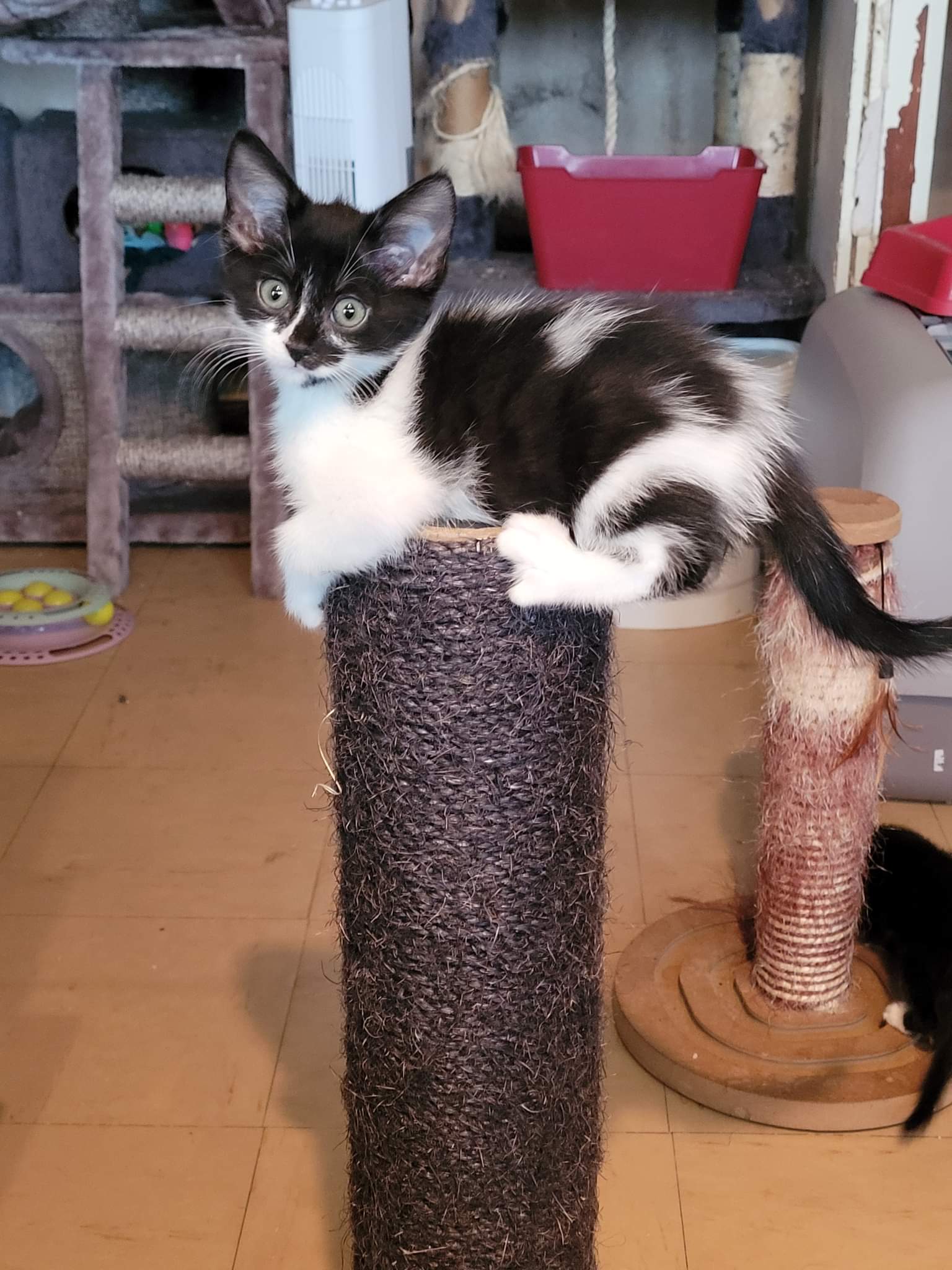 received_2130658517130591