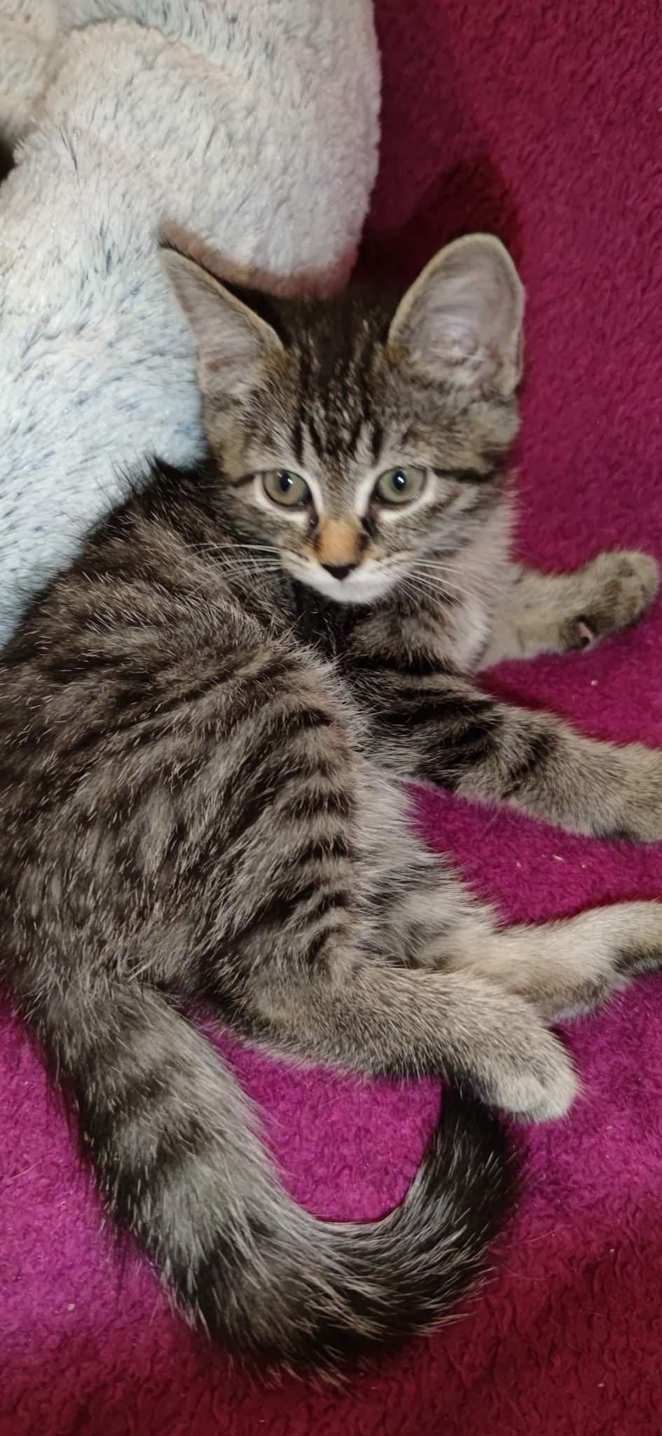 received_3367550220148934