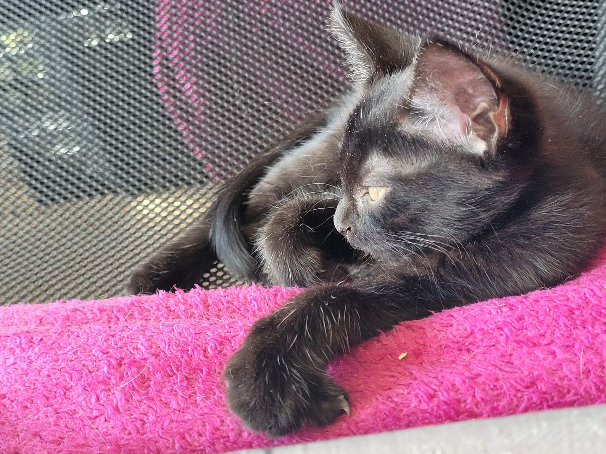 received_3432472183647184