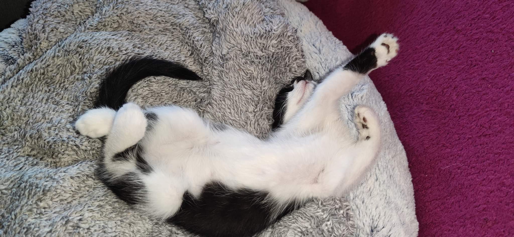 received_347227247605127-1