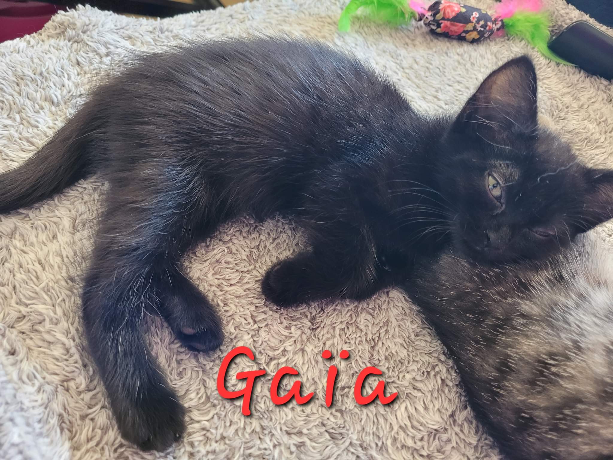 received_428296436152528