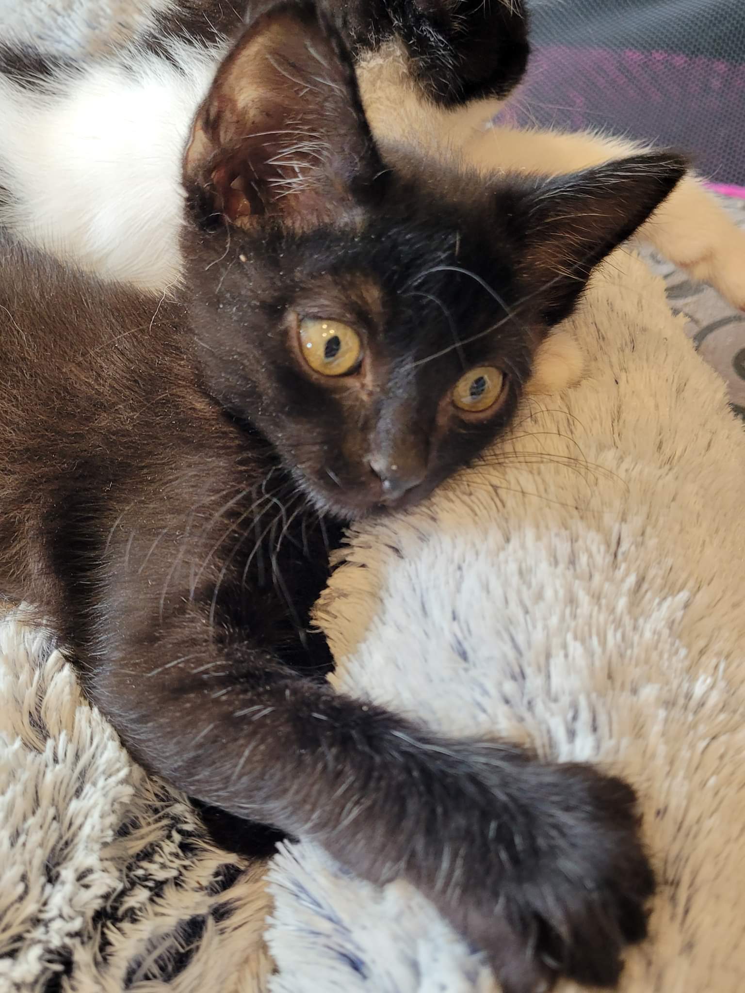 received_440561601522197