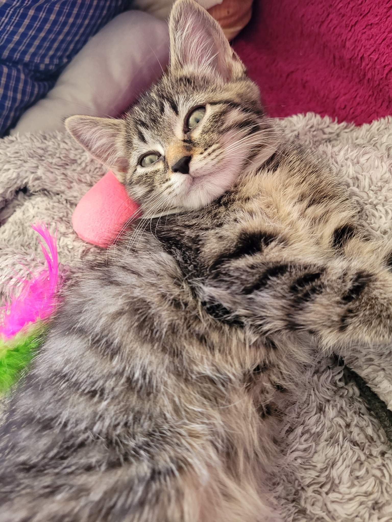 received_485505846836901