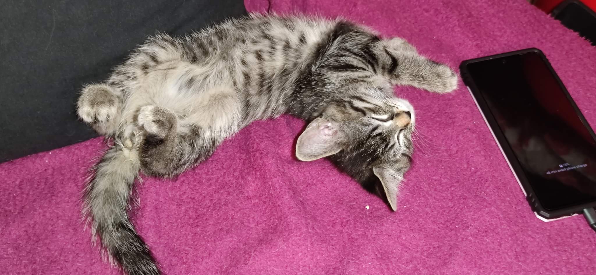 received_523761666258843